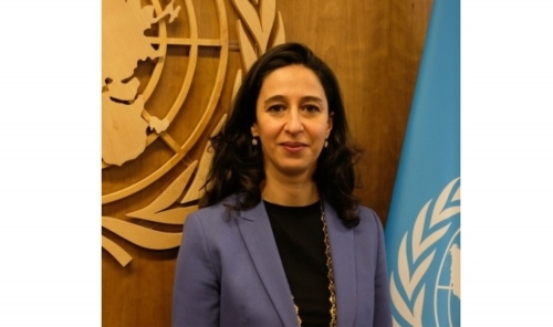 UNDP Executive Board Approves Bahrain's 2025-2029 Country Programme