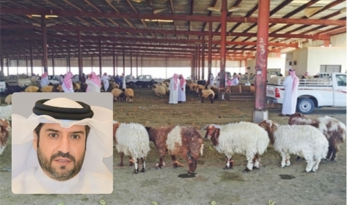 Bahrain Imports Over 30,000 Livestock and 6,800 Tons of Meat Ahead of Eid Al-Adha