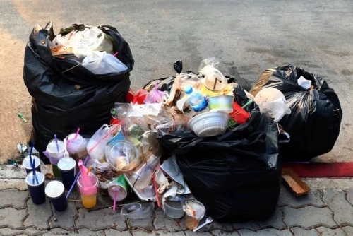 BD300 fine for rubbish left outside bins