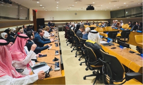 UN Conference Sets Stage for Arab Solidarity on Disability Rights