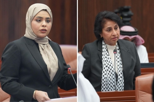 MPs unanimously approve extension of paid maternity leave by 10 days for private sector workers