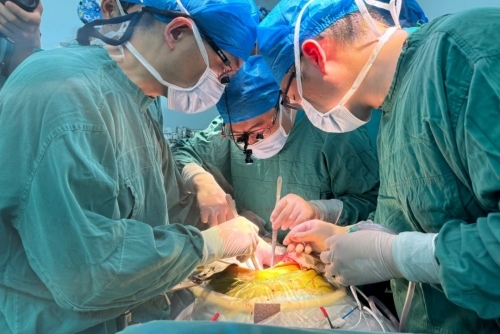 Chinese doctors implant pig liver in human for first time