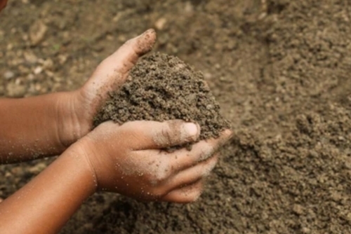 Russia-UN food and fertiliser agreement to end