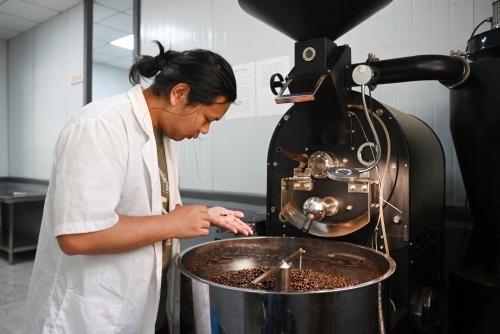 Chinese tea hub branches into coffee as tastes change