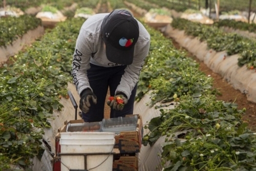 China says to slap fresh tariffs on Canadian farm, food products