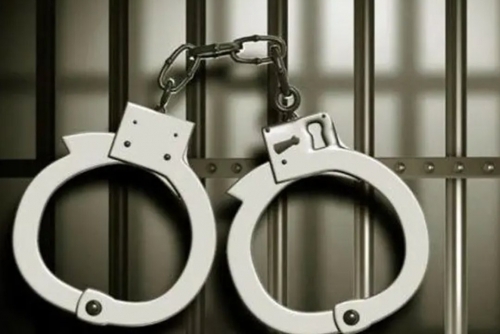 Four expats arrested for illegal fishing
