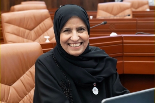 MP seeks to raise housing aid age limit to 60
