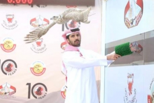 Soaring High: Thrills at Nasser bin Hamad falconry and hunting season