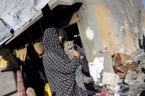 ‘We are ready to release all Israeli captives' If end to Gaza war guaranteed: Hamas