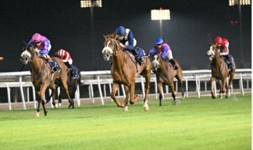 Rashid Equestrian Club to Host Eid Al Fitr Festival with Exciting Races