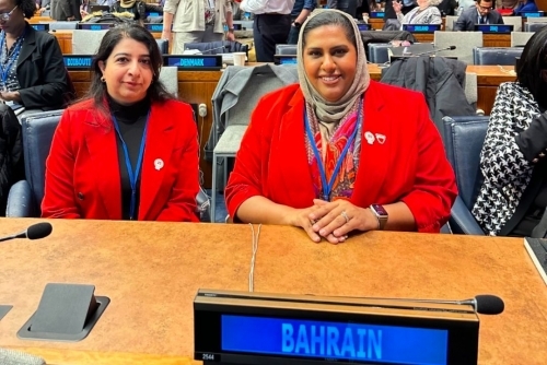 iGA Represents Bahrain at 56th United Nations Statistical Commission Session