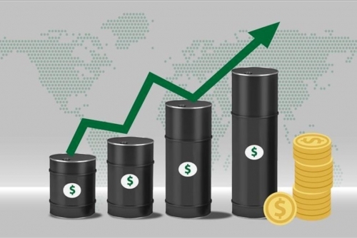 Oil Prices Steady After Slipping on Inventory Surge and Saudi Price Cuts