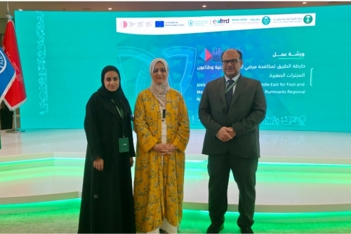 Bahrain Joins Regional Effort to Strengthen Animal Disease Control Measures