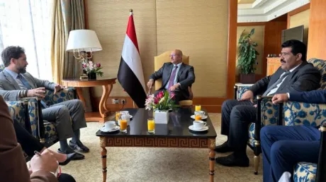 طارق صالح: تأمين الملاحة الدولية مرهون بإنهاء النفوذ الإيراني