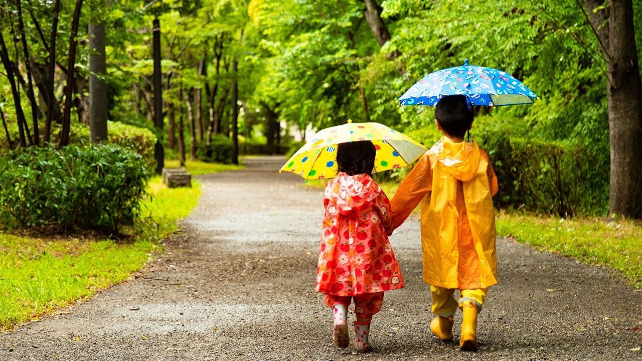 Rainy Season 2025: Umbrella Weather in Japan
