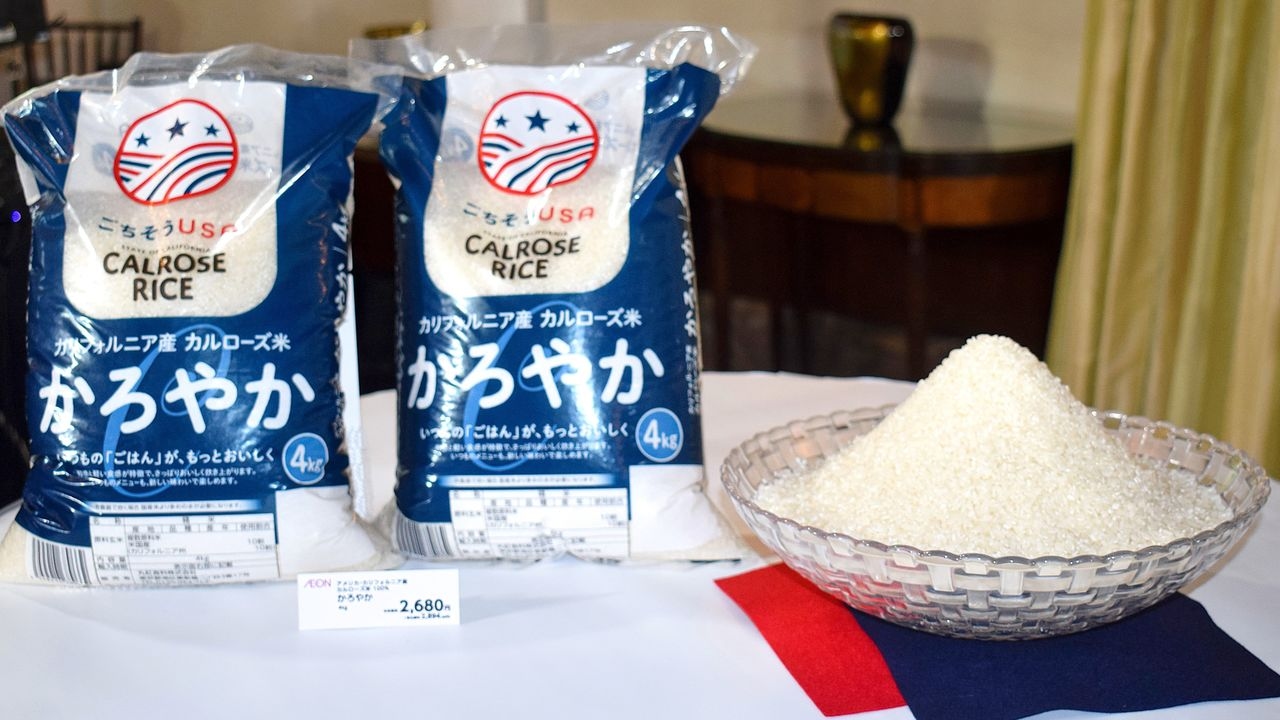 Affordable Despite High Tariffs? Private Rice Imports Spike in Japan