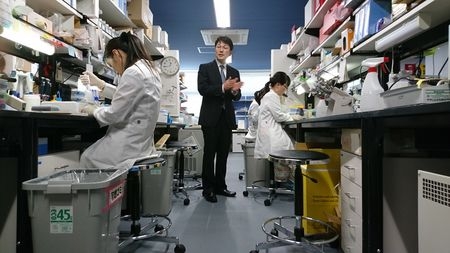 Japan Starts Final-Stage Trial for iPS Drug for Alzheimer's
