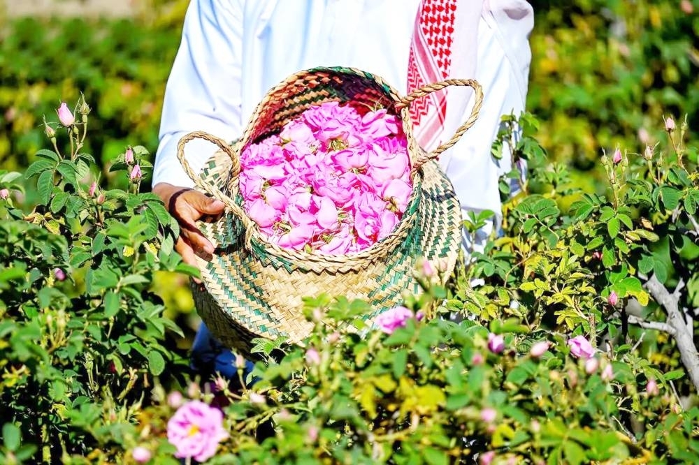 «ريف السعودية»: إنتاج 750 مليون وردة في 12 شهراً