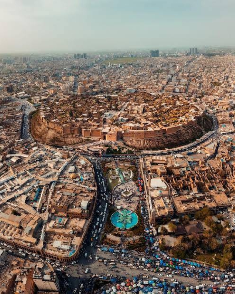 2 دولار لكل كلب ضال.. فرصة عمل غريبة في أربيل
