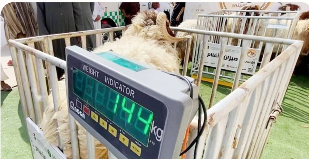 ورشة في الرياض لبحث آليات بيع المواشي بـ «الوزن»