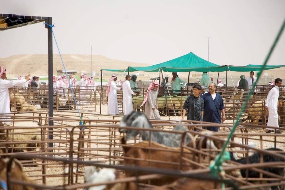 التطبيق الخميس.. «البيئة» تُعلن  ضوابط بيع المواشي الحية بالوزن