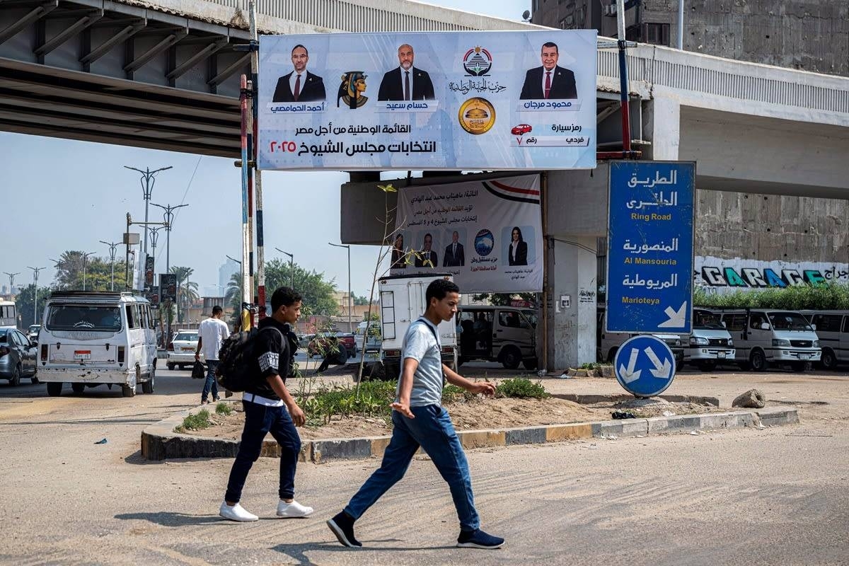 المصريون في الخارج يختارون أعضاء مجلس الشيوخ