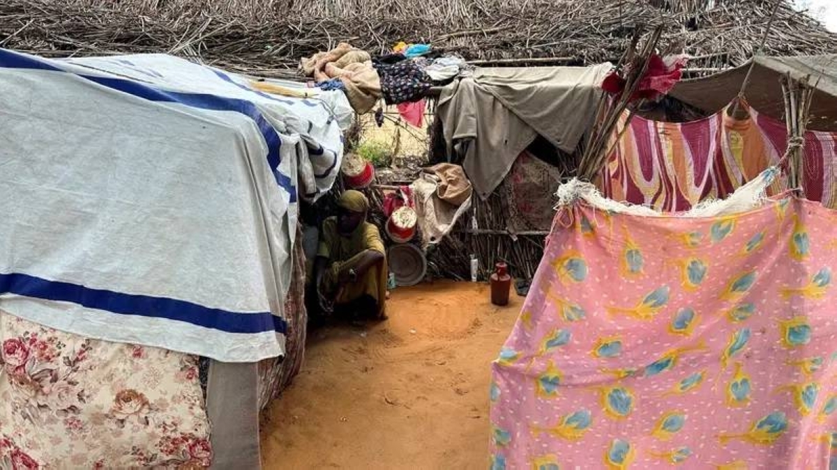 تهدّد حياة آلاف السودانيين.. الفاشر على شفير المجاعة