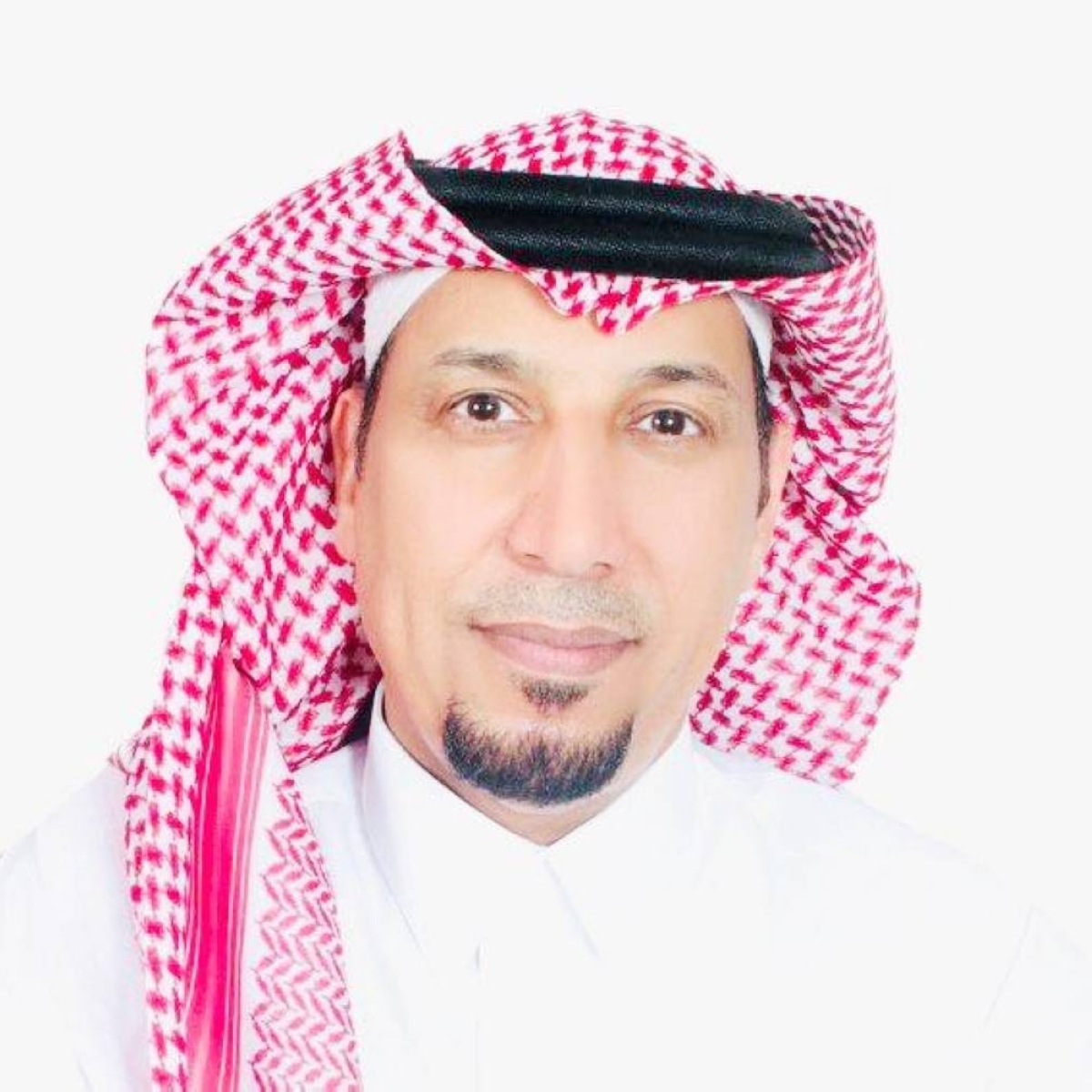 إستراتيجية  دمج المخاطر
