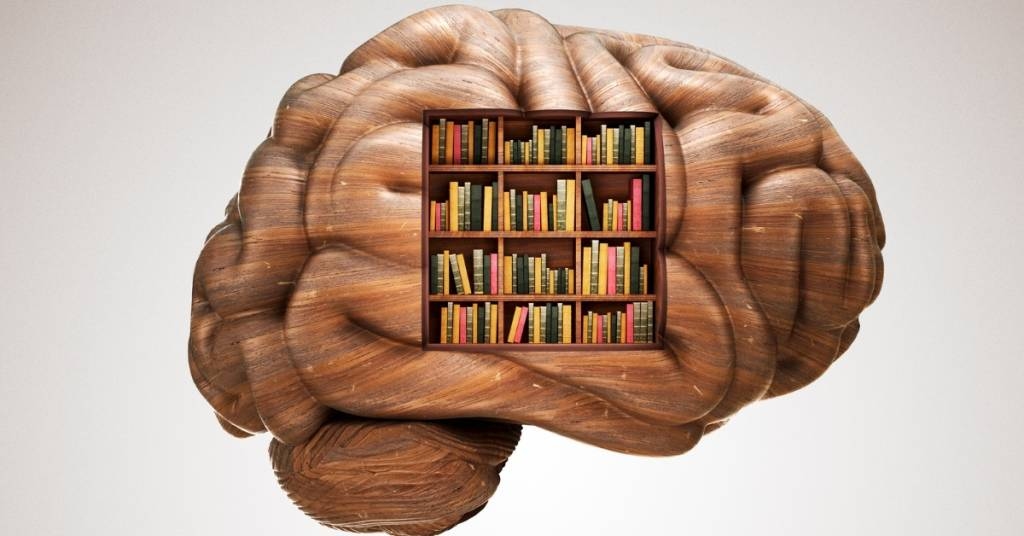 دراسة تكشف: ذكريات الأماكن تتحرك في دماغك