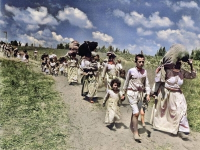 في الذكرى الـ77 لنكبة فلسطين.. "ما أشبه اليوم بالبارحة"
