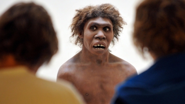 Homo erectus, not sapiens, first humans to survive desert: study