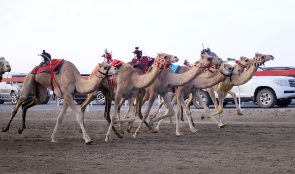 Amjad, Amani snatch golden daggers in Suhar