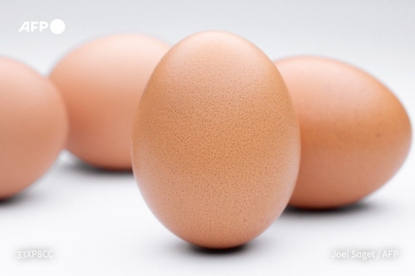 How to cook the perfect egg