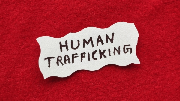 Shura council approves draft laws on human trafficking and real estate