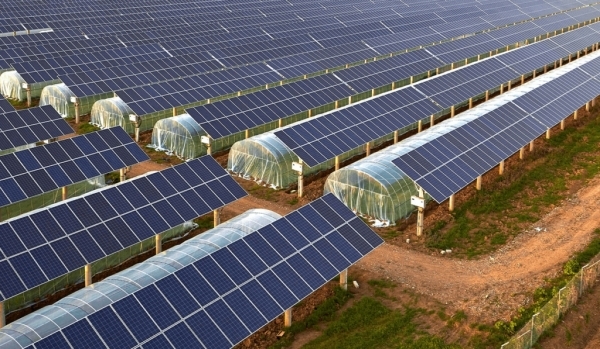 Investment sought for Oman's first agri-solar project