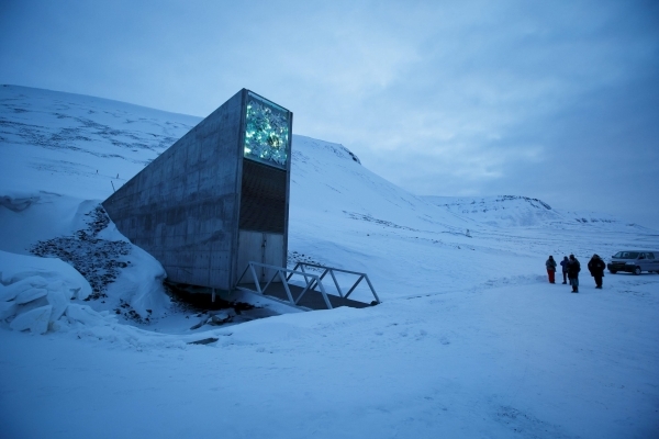 Arctic doomsday seed vault gets more than 14,000 new samples