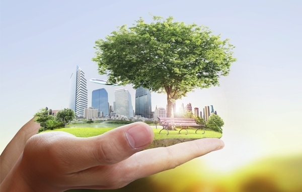 Opinion- Enterprise and sustainability: Prospects and suggestions