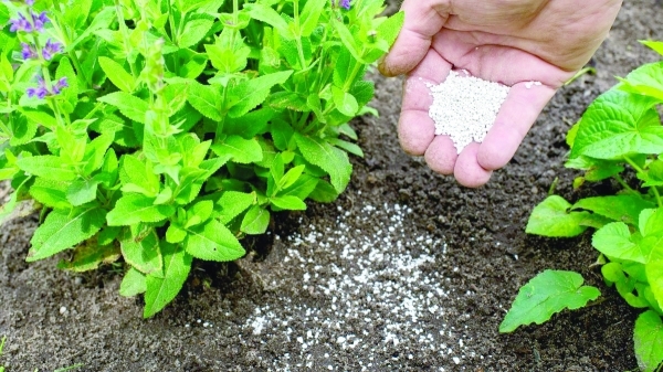 Turning marble waste into fertiliser: A sustainable innovation for Oman