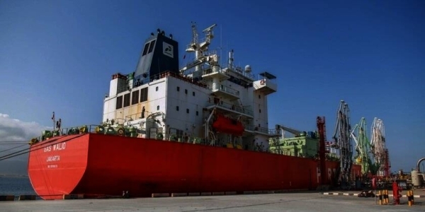 Mineral exports boost Salalah Port's general cargo volumes in 2024
