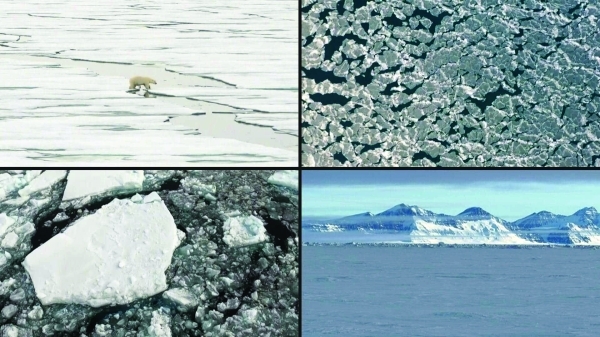World's sea ice cover hits record low in Feb