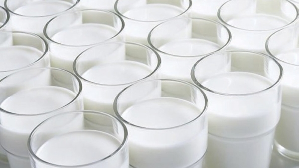 Consuming unpasteurised milk poses health risks: Health experts