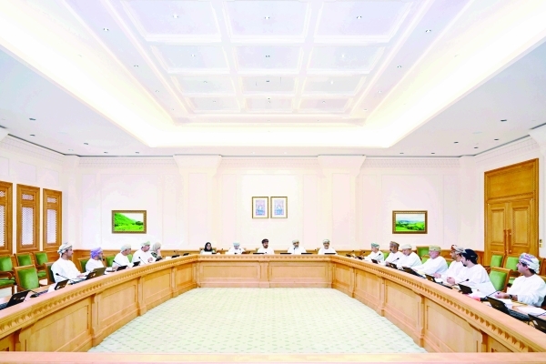 State Council committee debates telecom bill