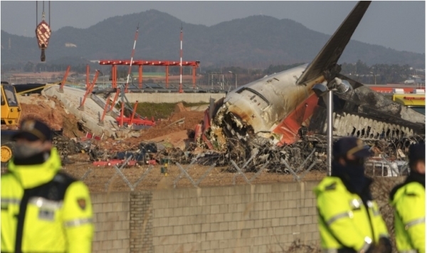 Airport was repeatedly warned about bird strikes before South Korea crash