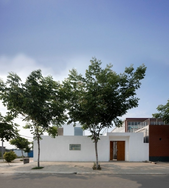 Procedures simplified for obtaining tree planting permit: Municipality