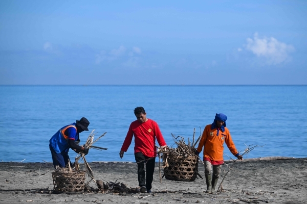 Earth Day 2025 seeks clean electricity