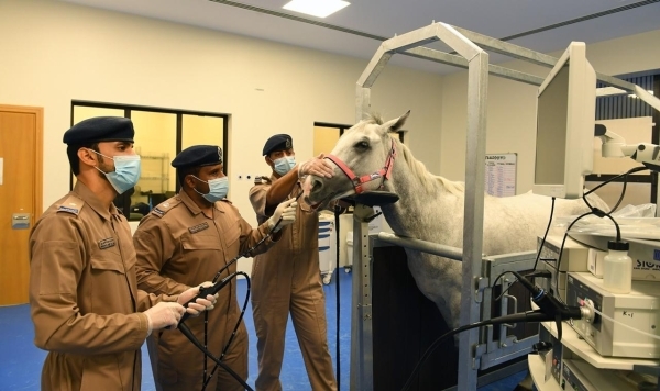 ROP research earns global acclaim in vet sciences