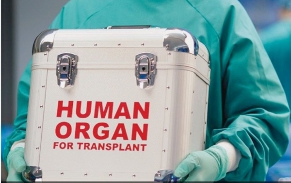 Royal Decree issued to regulate human organ and tissue transplantation in Oman