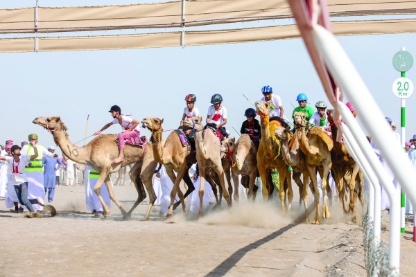 OCRF to take part in first Asian camel racing in Abu Dhabi