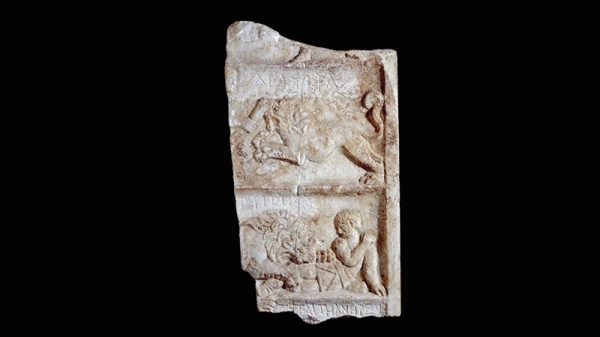 A Roman Gladiator and a Lion Met in Combat. Only One Walked Away.