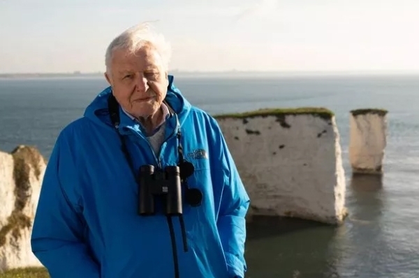 New Attenborough film showcases both destruction and hope in planet's oceans